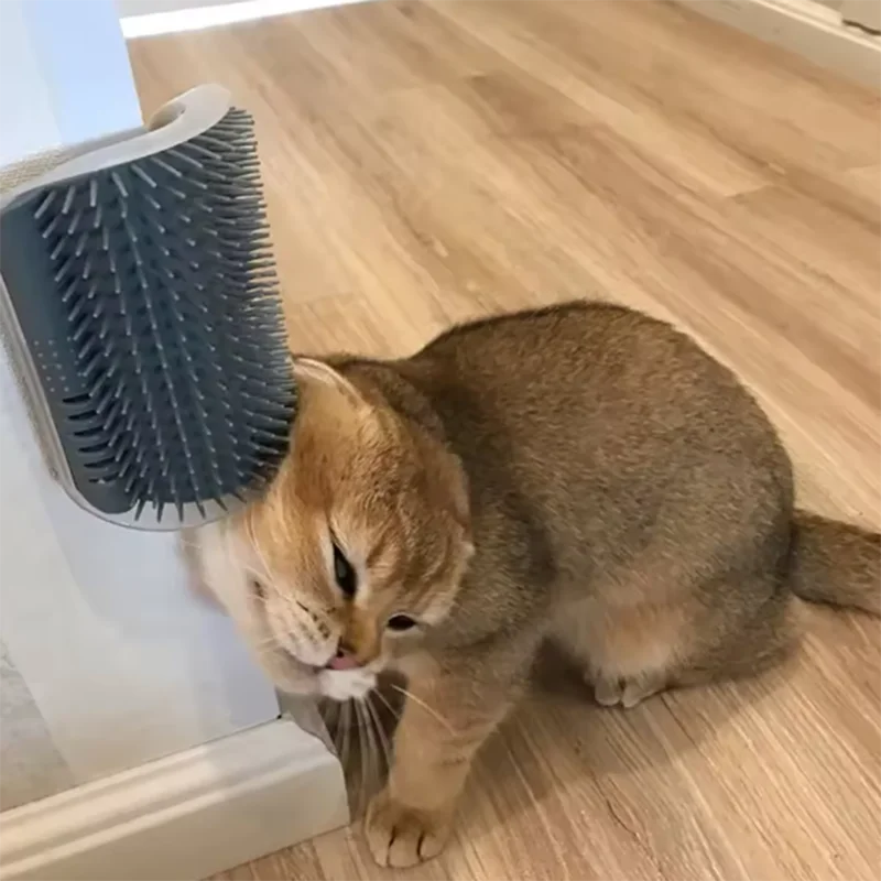 Masajeador de esquina para Gato rascador para rascar gatos cepillo para gatos peine cepillo para esquina de masaje